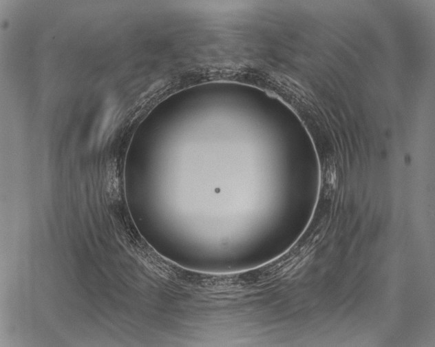 X0000067491252200604071155