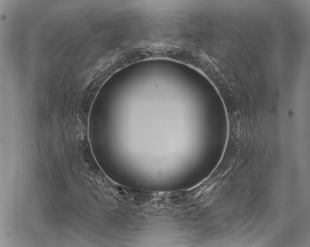 X0000067491253200604071155