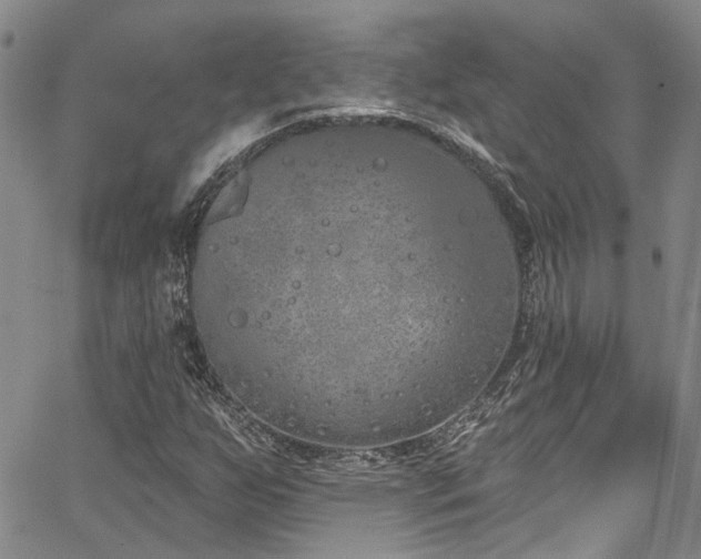 X0000067491255200604071155