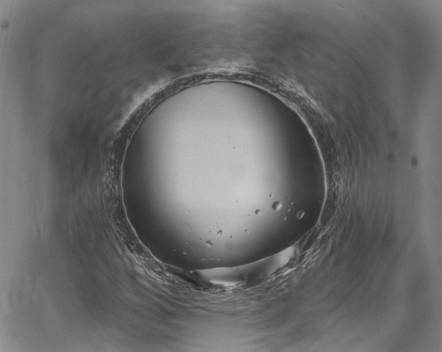 X0000067491256200604071155