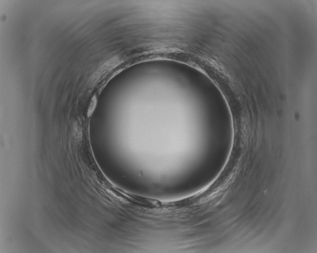 X0000067491257200604071155