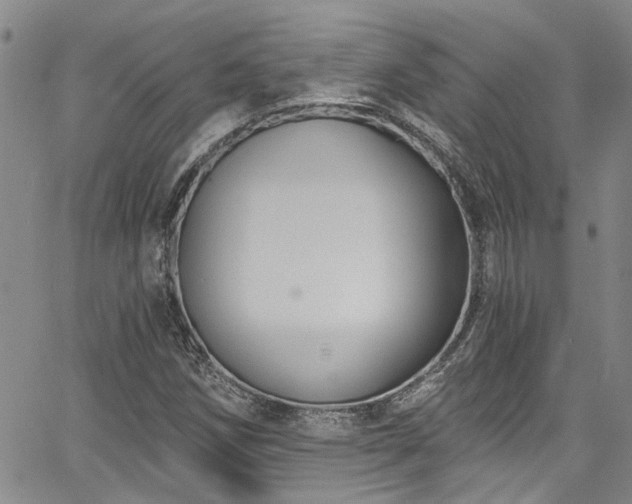 X0000067491258200604071155