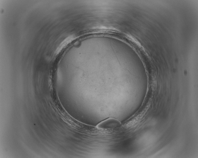 X0000067491259200604071155