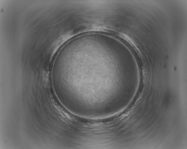 X0000067491260200604071155