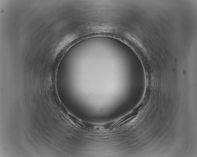 X0000067491261200604071155