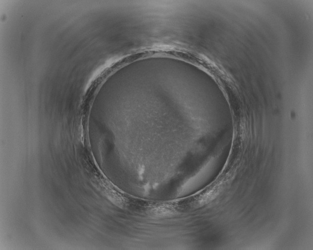 X0000067491262200604071155