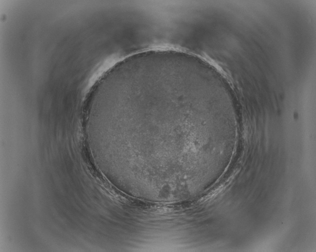 X0000067491263200604071155