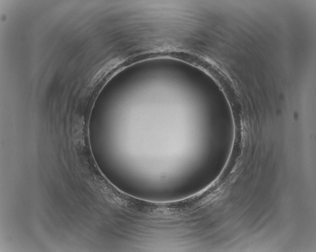 X0000067491265200604071155