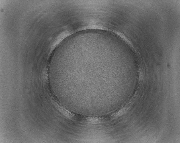 X0000067491266200604071155