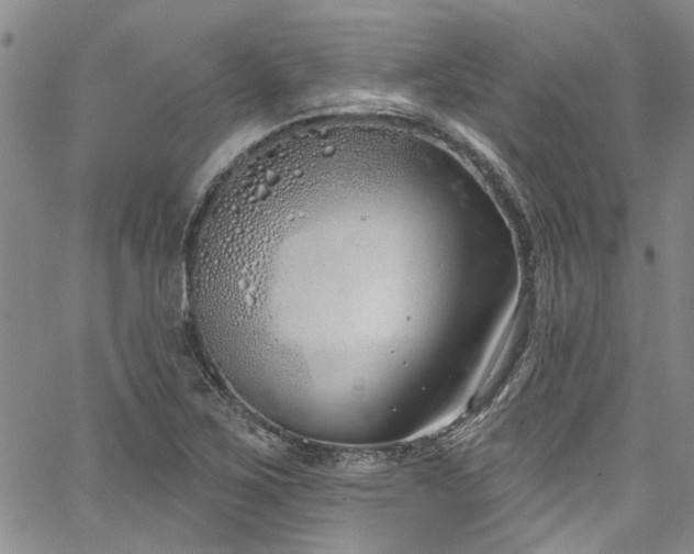 X0000067491267200604071155