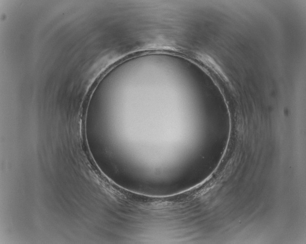 X0000067491268200604071155