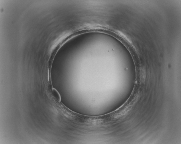 X0000067491269200604071155