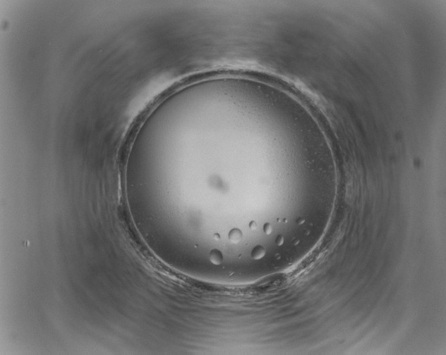 X0000067491271200604071155