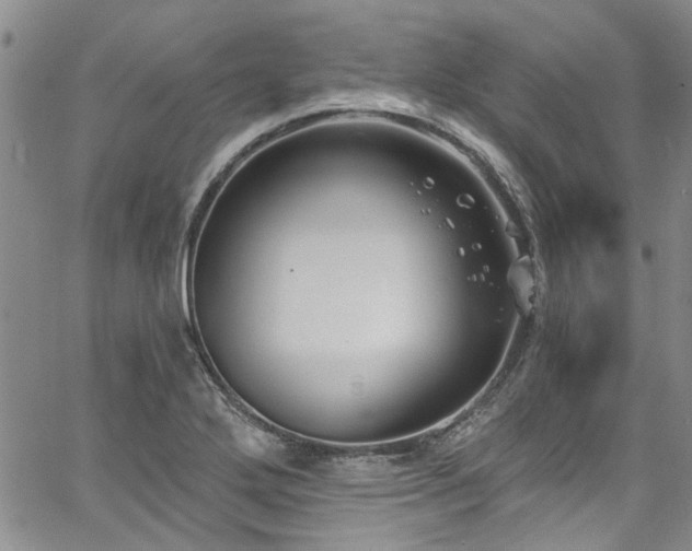 X0000067491272200604071155