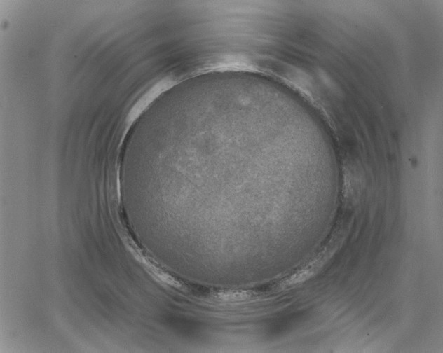 X0000067491274200604071155