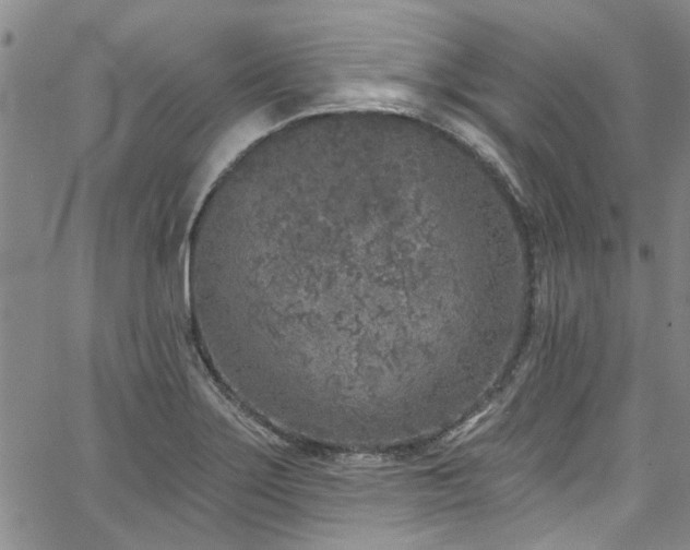 X0000067491275200604071155