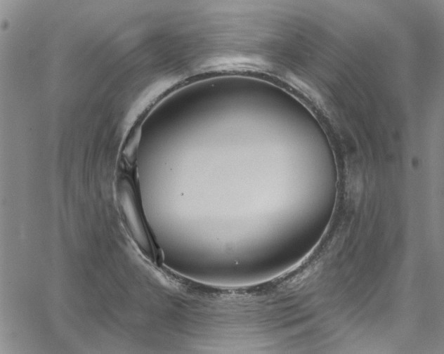 X0000067491277200604071155