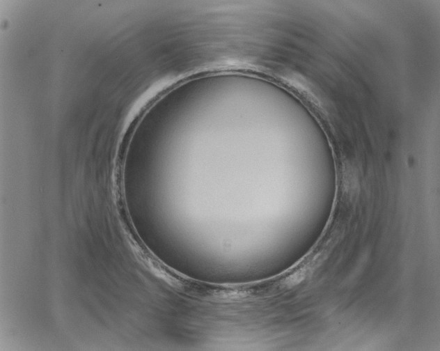 X0000067491278200604071155