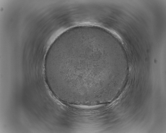 X0000067491279200604071155