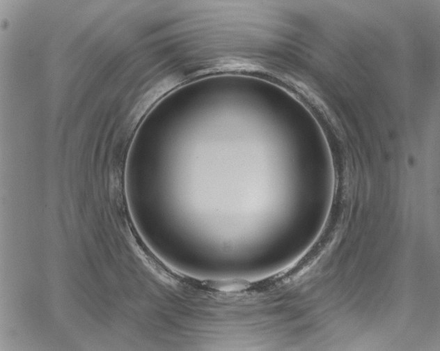 X0000067491281200604071155