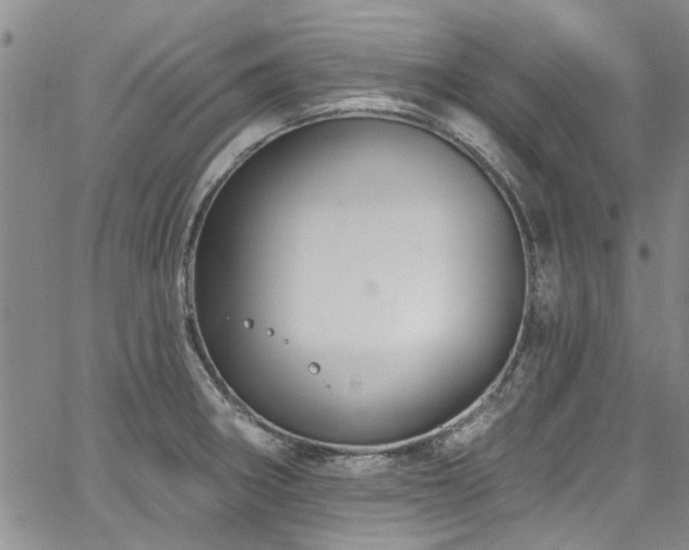 X0000067491282200604071155