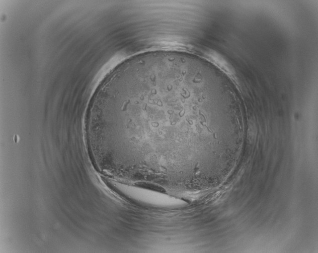 X0000067491283200604071155