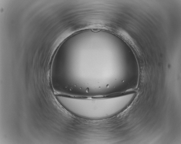 X0000067491284200604071154