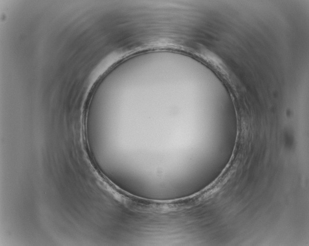 X0000067491286200604071154