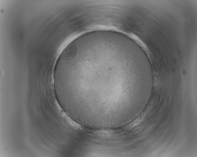 X0000067491287200604071154