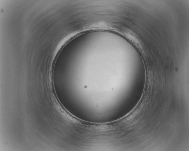 X0000067491288200604071154