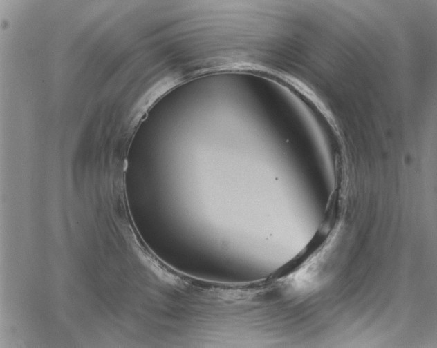 X0000067491289200604071154