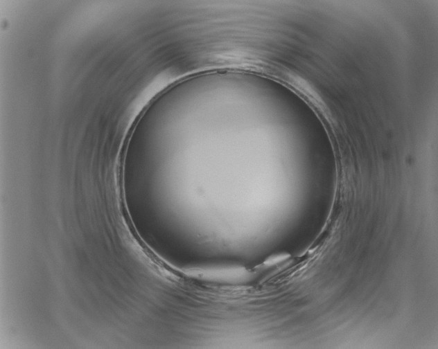 X0000067491291200604071154