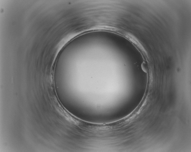 X0000067491292200604071154