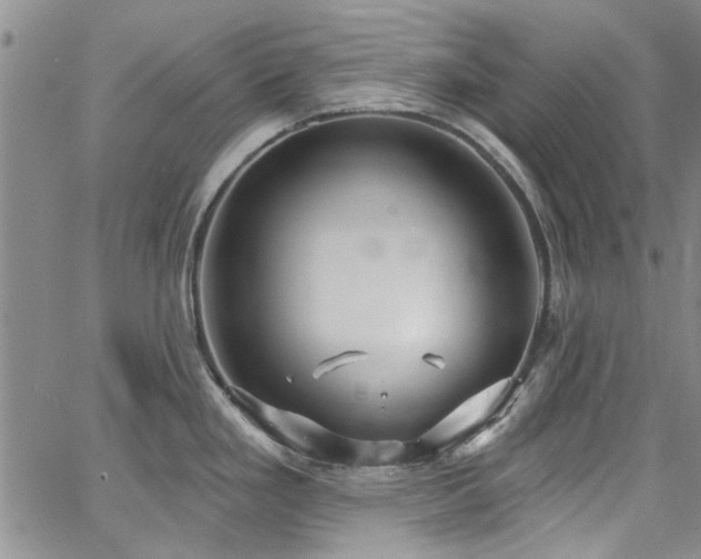 X0000067491293200604071154