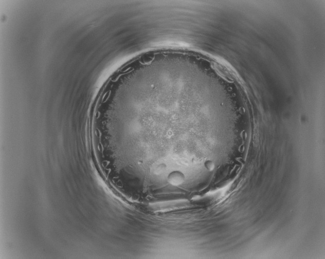 X0000067491295200604071154