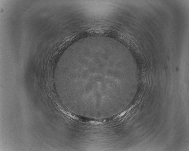 X0000067491297200604071154