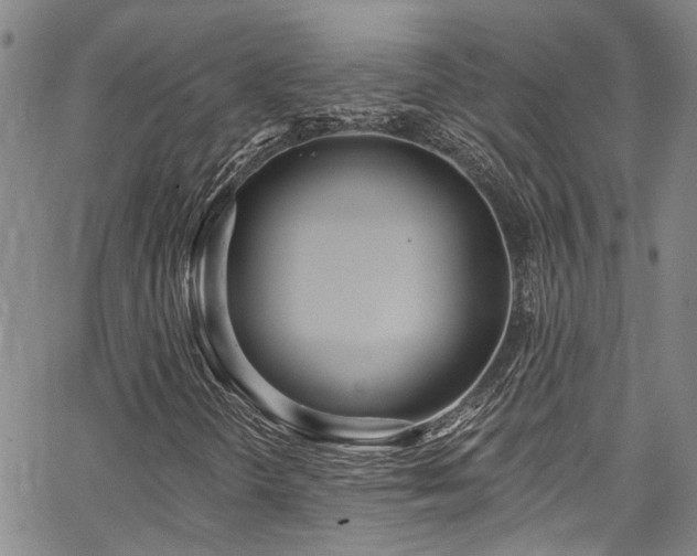 X0000067491298200604071154