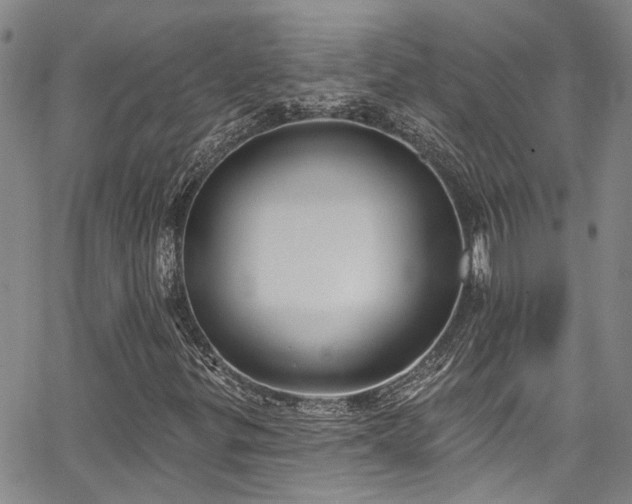 X0000067491299200604071154