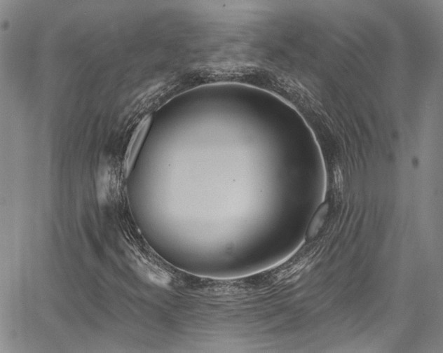 X0000067491300200604071154