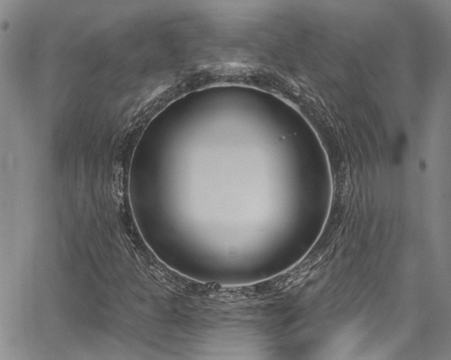 X0000067491301200604071154