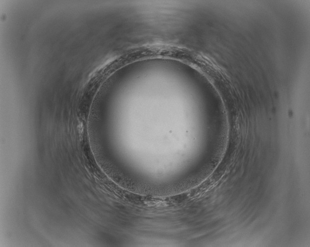 X0000067491302200604071154