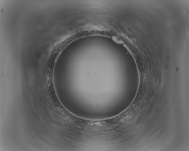 X0000067491303200604071154