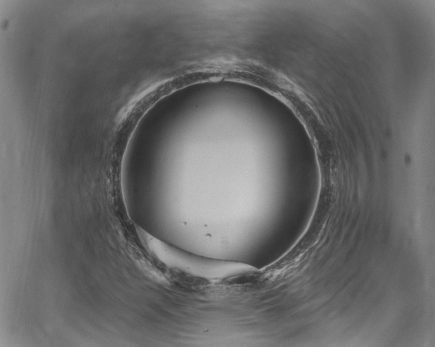 X0000067491304200604071154