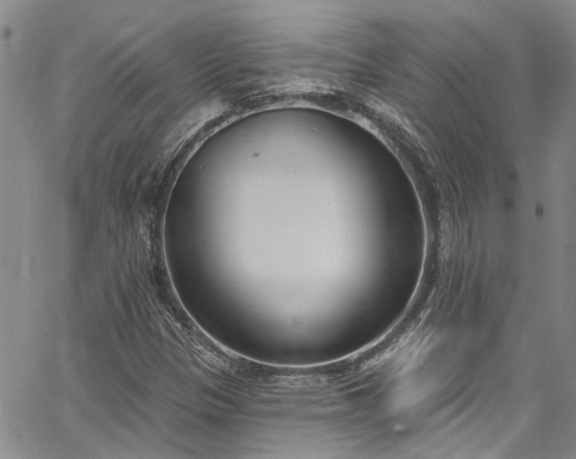 X0000067491305200604071154