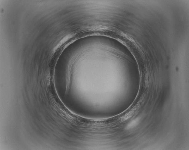 X0000067491306200604071154