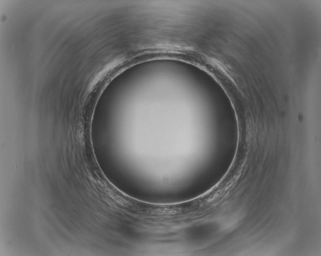 X0000067491307200604071154