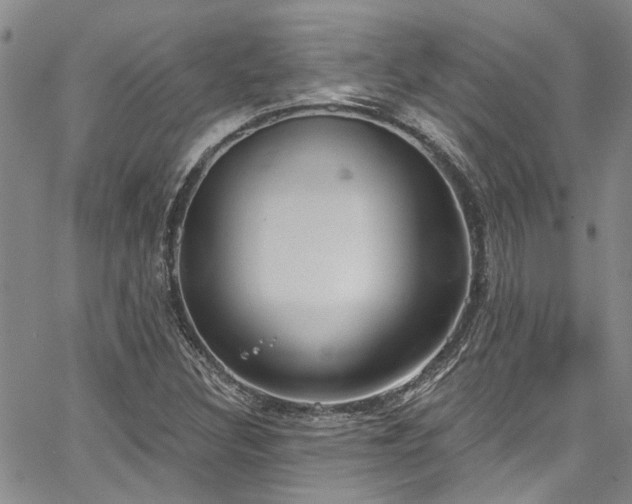 X0000067491308200604071154