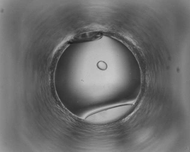 X0000067491309200604071154