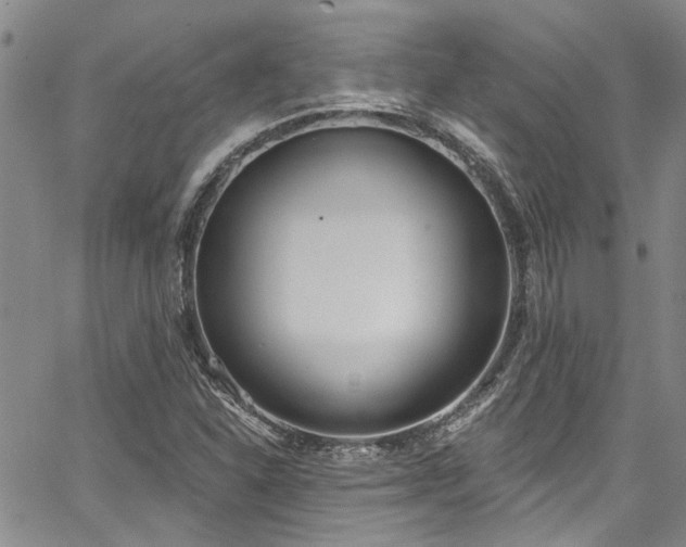 X0000067491310200604071154