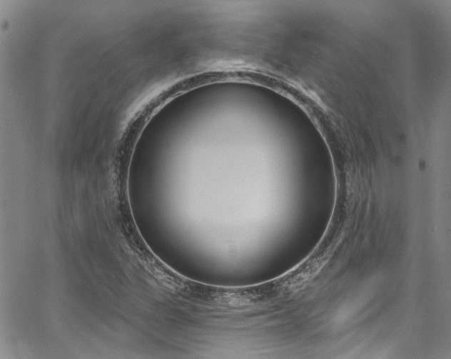 X0000067491311200604071154